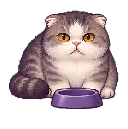 Mr Macleod: Feed me