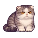 Mr Macleod: Lick a paw